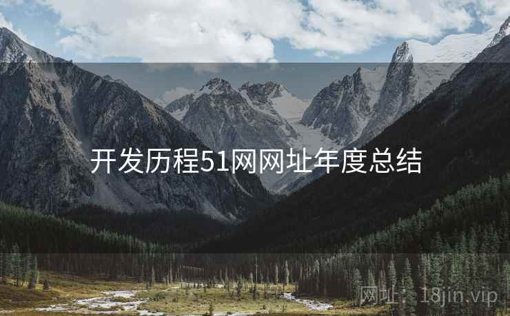 开发历程51网网址年度总结
