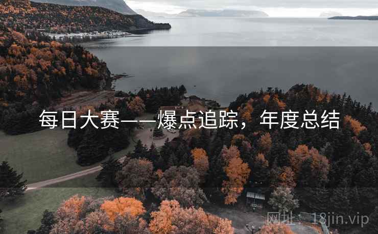 每日大赛——爆点追踪，年度总结