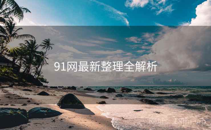91网最新整理全解析