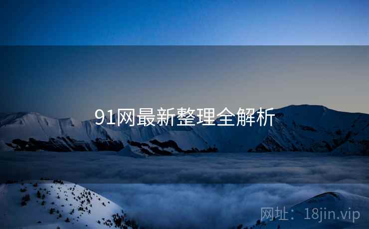 91网最新整理全解析