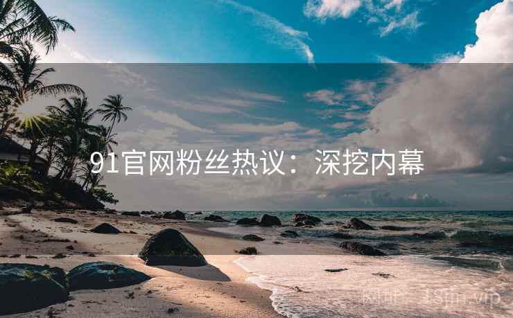 91官网粉丝热议：深挖内幕