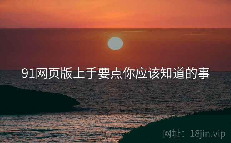 91网页版上手要点你应该知道的事