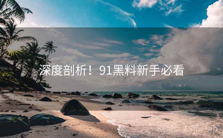深度剖析！91黑料新手必看