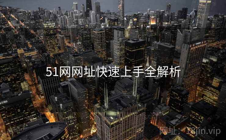 51网网址快速上手全解析