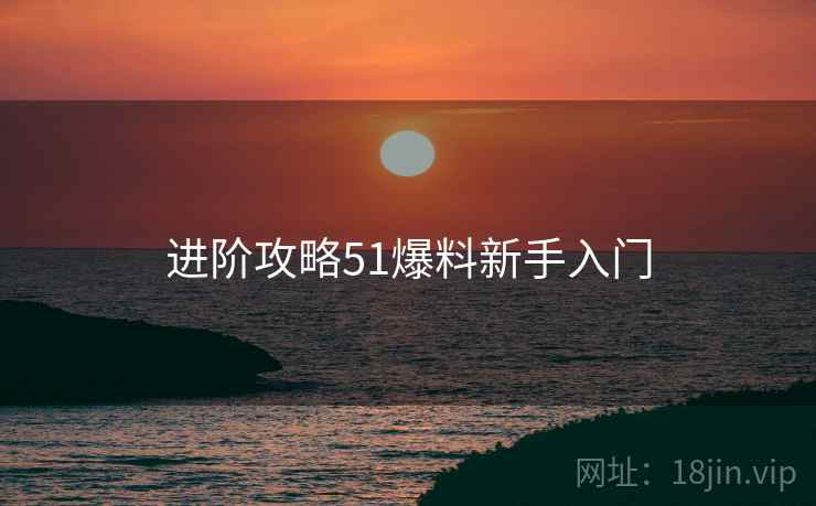 进阶攻略51爆料新手入门