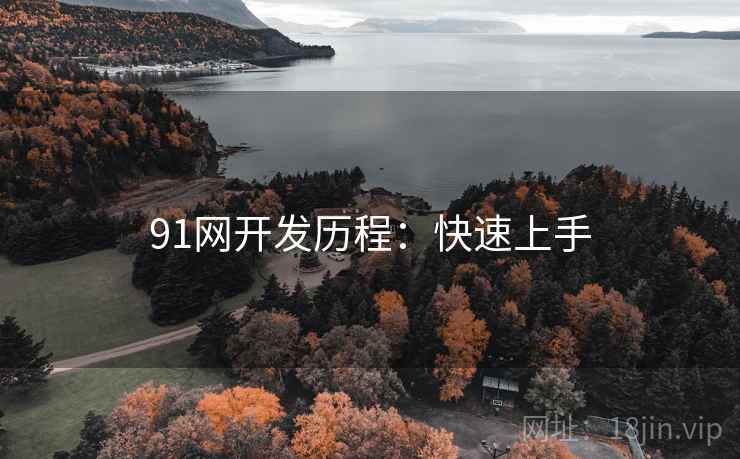 91网开发历程：快速上手