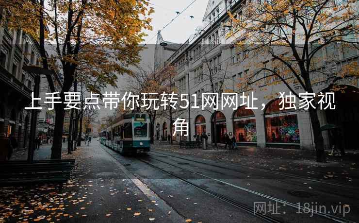 上手要点带你玩转51网网址，独家视角