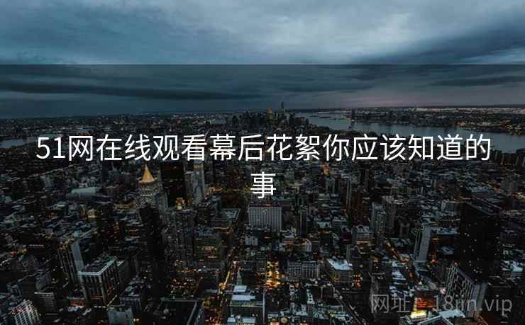 51网在线观看幕后花絮你应该知道的事