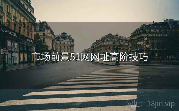 市场前景51网网址高阶技巧