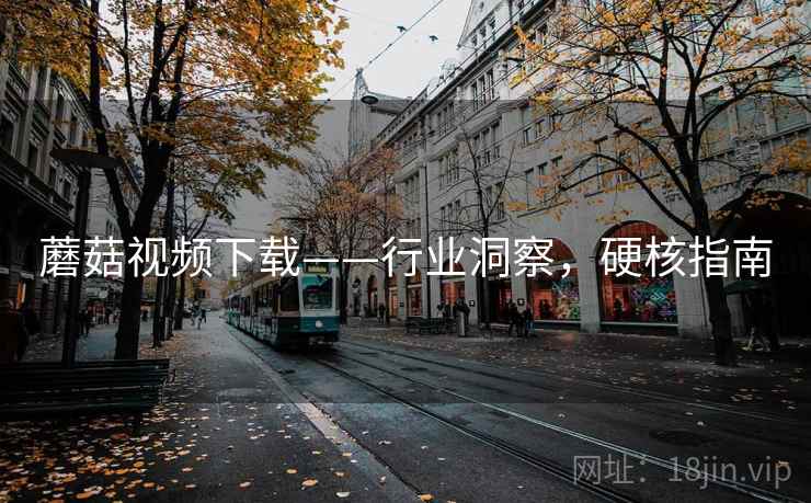 蘑菇视频下载——行业洞察，硬核指南
