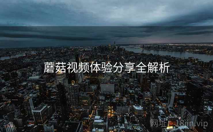 蘑菇视频体验分享全解析