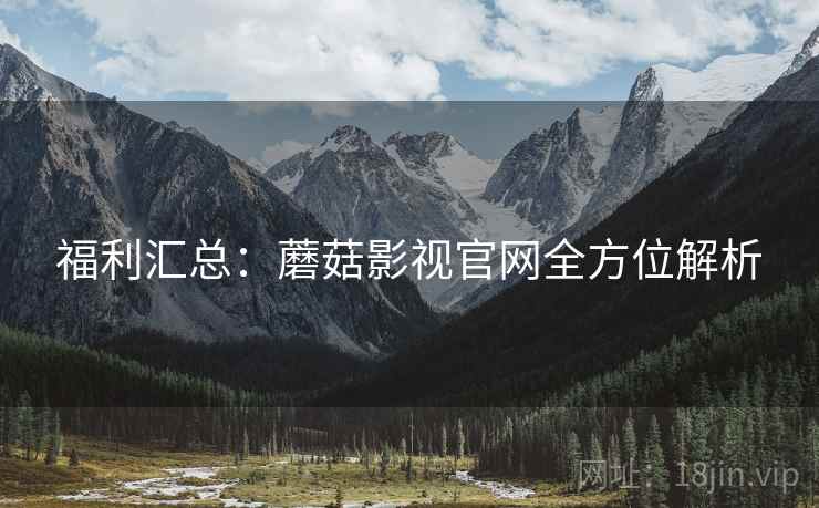 福利汇总：蘑菇影视官网全方位解析
