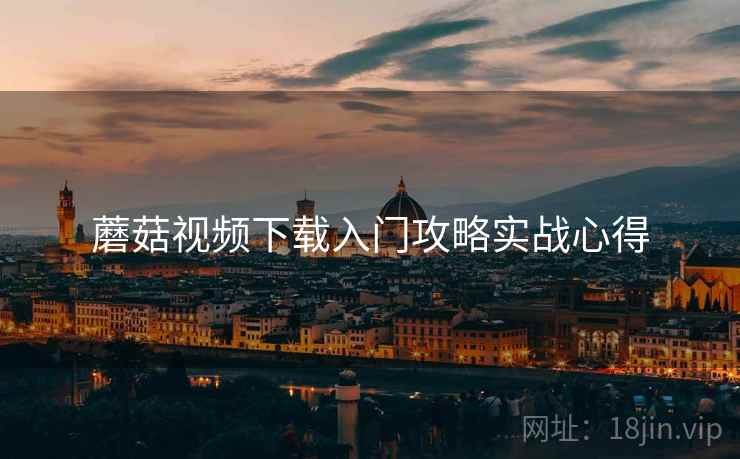 蘑菇视频下载入门攻略实战心得