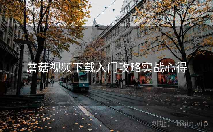 蘑菇视频下载入门攻略实战心得