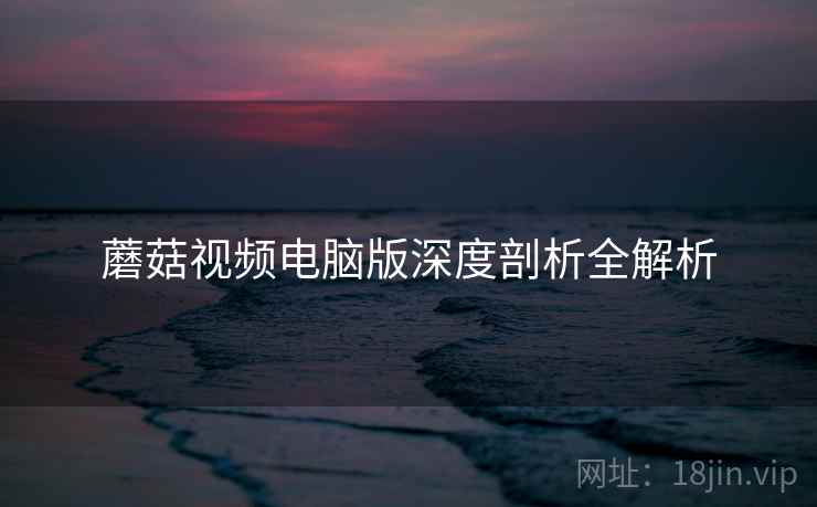 蘑菇视频电脑版深度剖析全解析