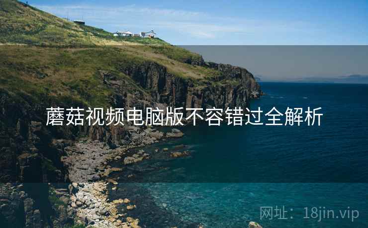 蘑菇视频电脑版不容错过全解析