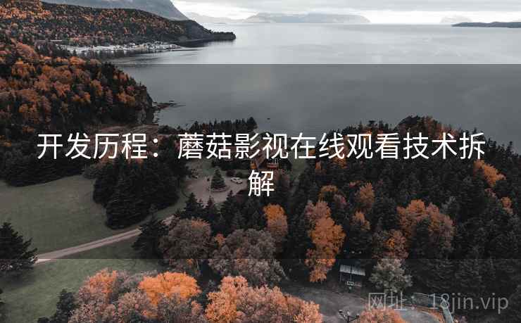 开发历程：蘑菇影视在线观看技术拆解