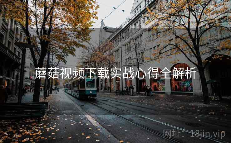 蘑菇视频下载实战心得全解析