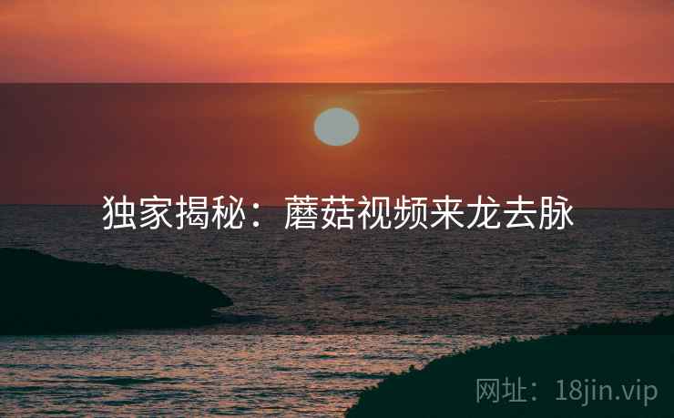 独家揭秘：蘑菇视频来龙去脉