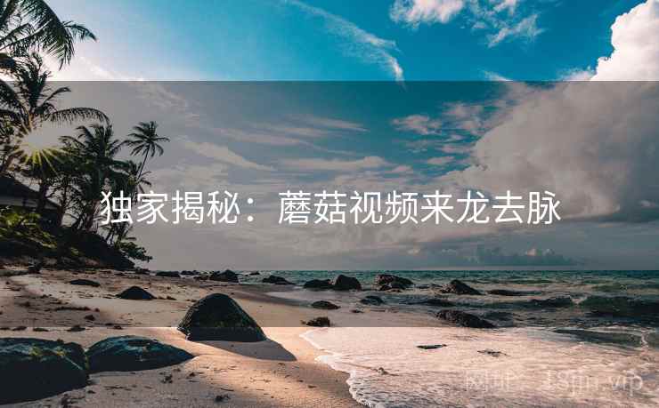 独家揭秘：蘑菇视频来龙去脉