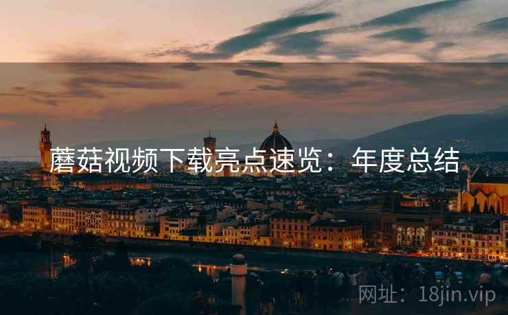 蘑菇视频下载亮点速览：年度总结