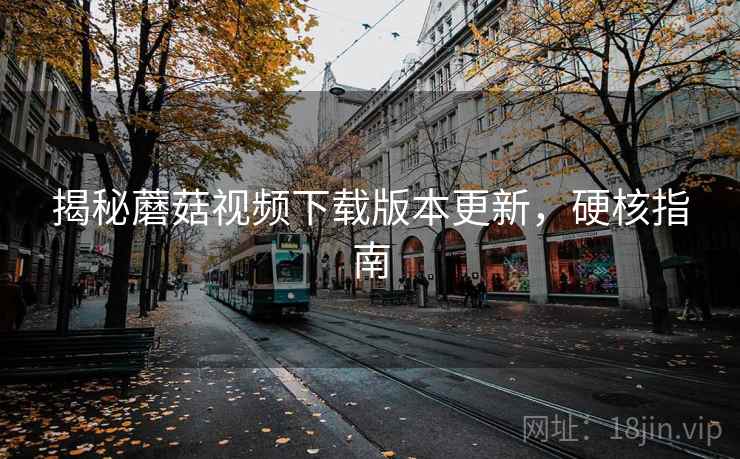 揭秘蘑菇视频下载版本更新，硬核指南