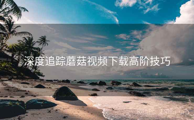深度追踪蘑菇视频下载高阶技巧