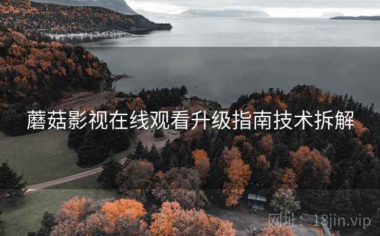 蘑菇影视在线观看升级指南技术拆解