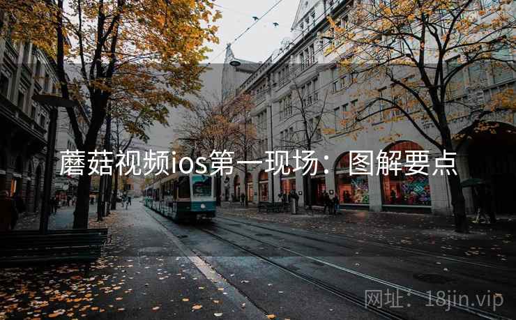 蘑菇视频ios第一现场：图解要点