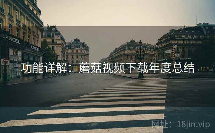 功能详解：蘑菇视频下载年度总结