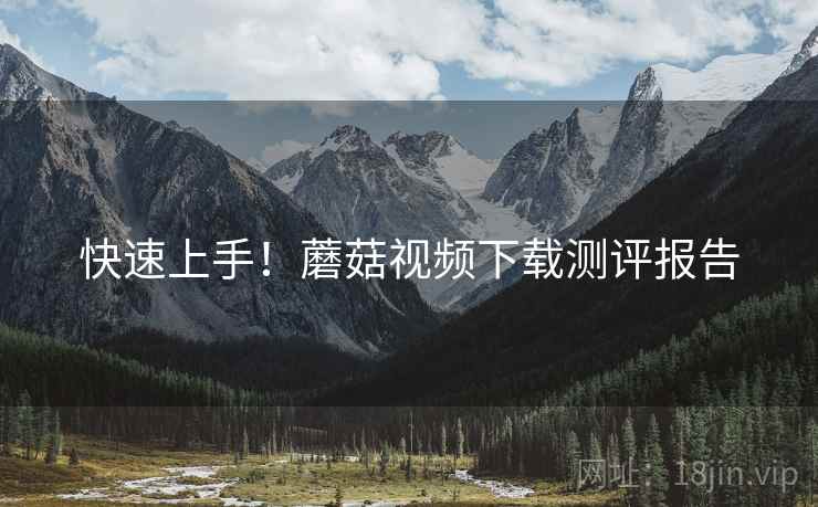 快速上手！蘑菇视频下载测评报告