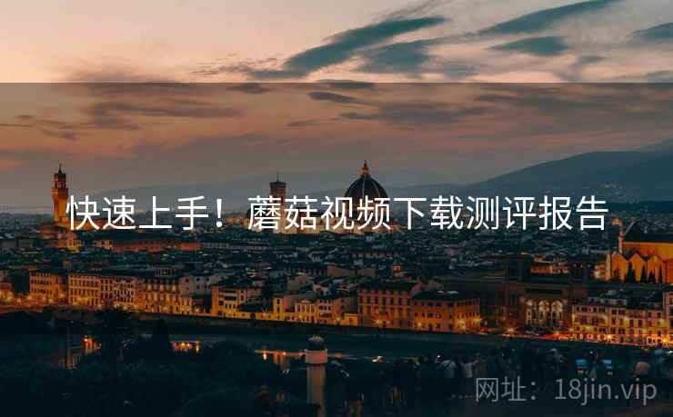 快速上手！蘑菇视频下载测评报告