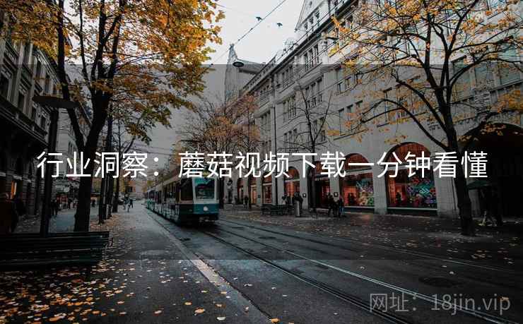 行业洞察：蘑菇视频下载一分钟看懂