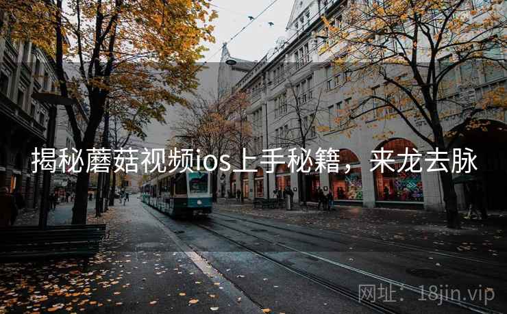 揭秘蘑菇视频ios上手秘籍，来龙去脉