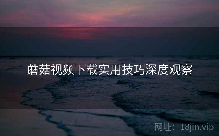 蘑菇视频下载实用技巧深度观察