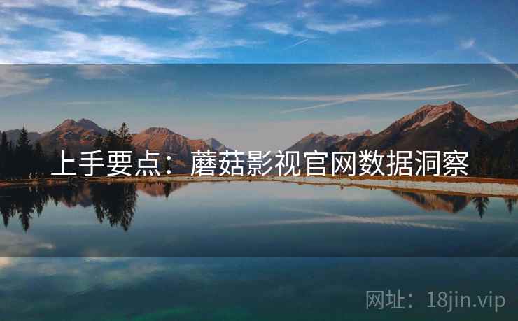 上手要点：蘑菇影视官网数据洞察